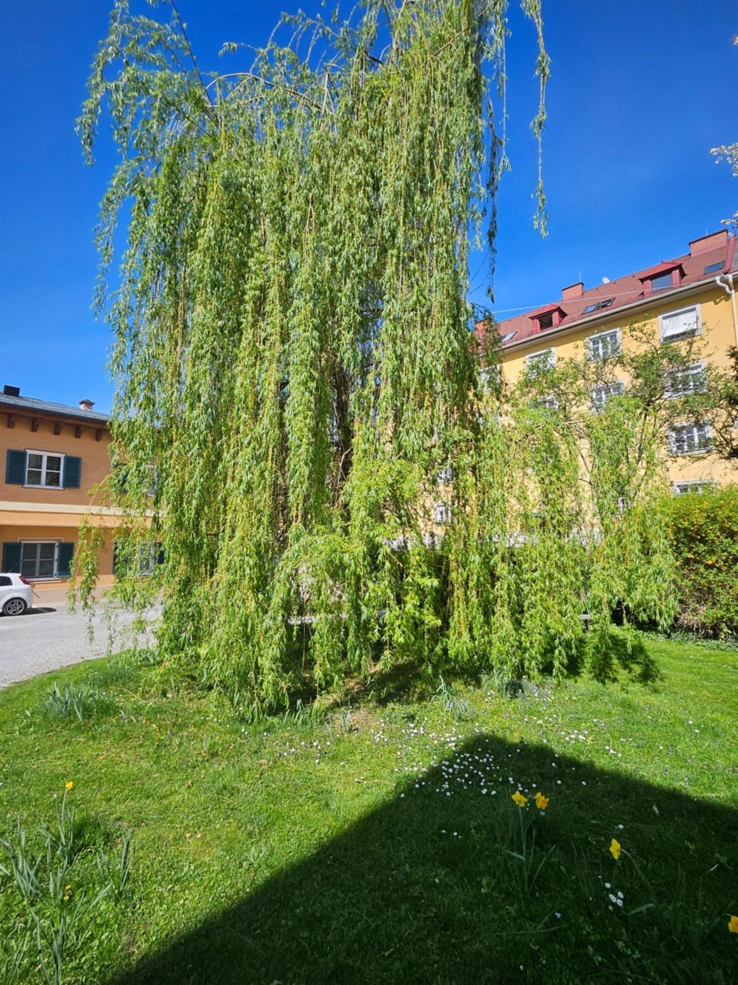 Golden Flat By Grazrentals With Parkview - Brandnew & Free Parking Apartment *