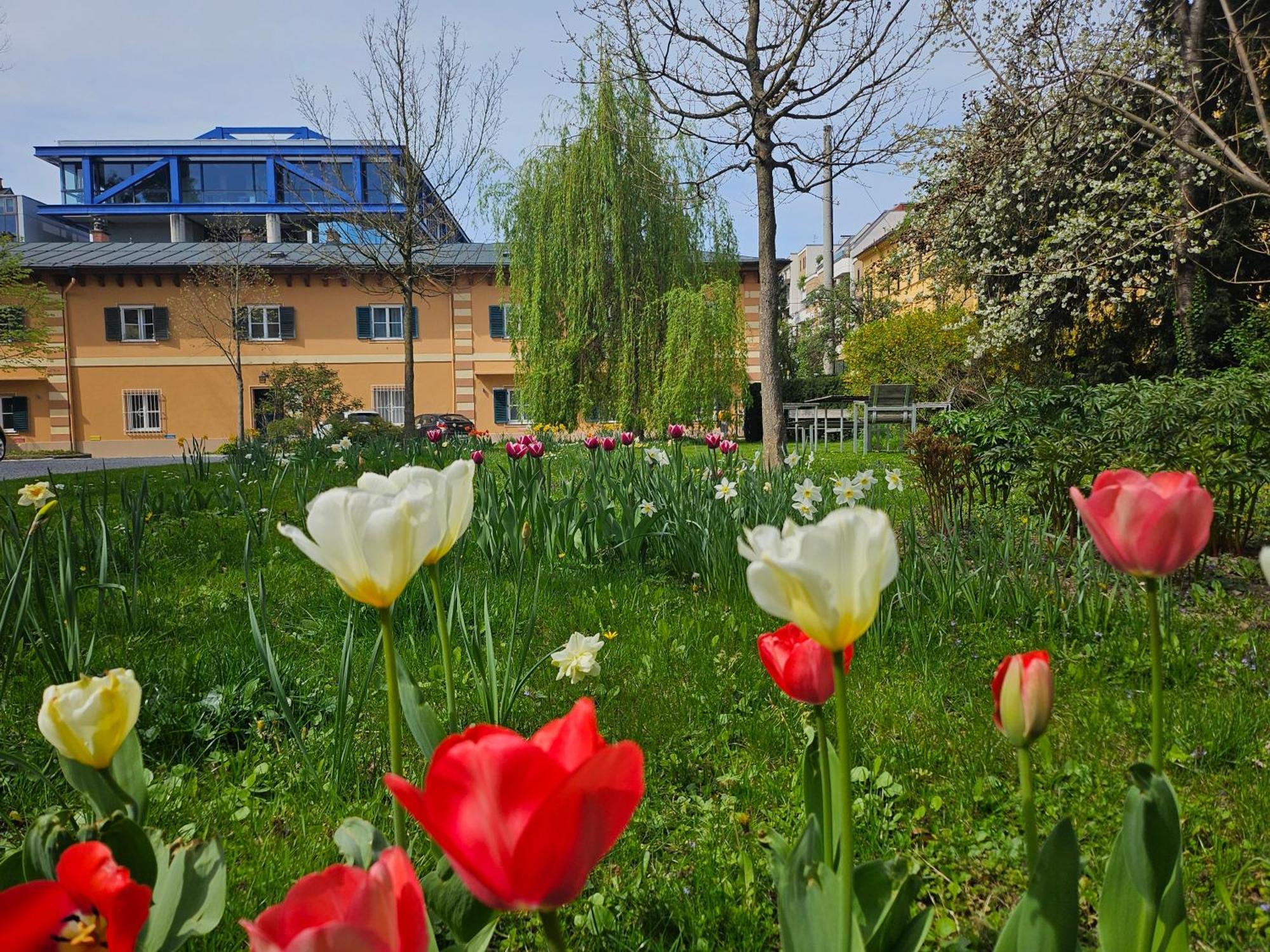 Golden Flat By Grazrentals With Parkview - Brandnew & Free Parking Appartamento Graz